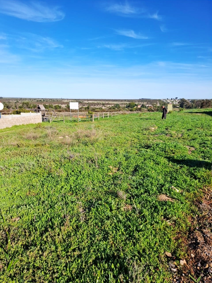 0 Bedroom Property for Sale in Hopefield Western Cape